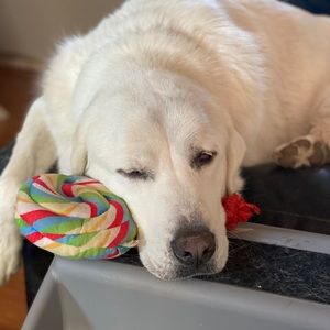 Meet your Posher, Eddy